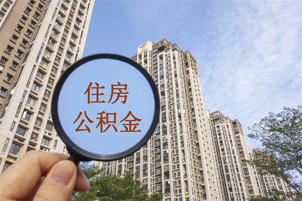 桂平全国住房公积金缴纳人数（桂平2020公积金人数）